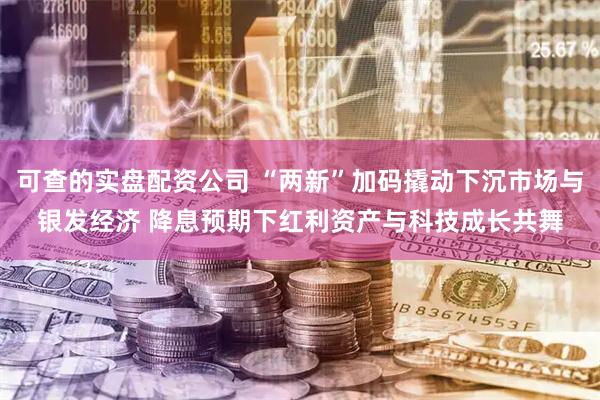 可查的实盘配资公司 “两新”加码撬动下沉市场与银发经济 降息预期下红利资产与科技成长共舞