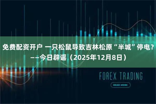 免费配资开户 一只松鼠导致吉林松原“半城”停电?——今日辟谣(2025年12月8日)