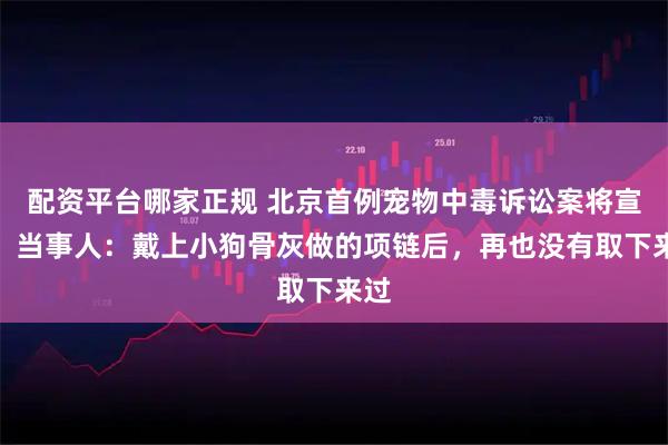 配资平台哪家正规 北京首例宠物中毒诉讼案将宣判,当事人:戴上小狗骨灰做的项链后,再也没有取下来过