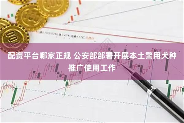 配资平台哪家正规 公安部部署开展本土警用犬种推广使用工作