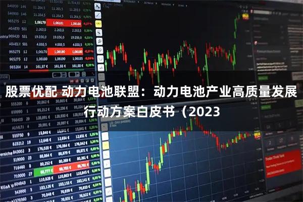 股票优配 动力电池联盟：动力电池产业高质量发展行动方案白皮书（2023