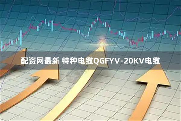 配资网最新 特种电缆QGFYV-20KV电缆